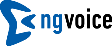 Ng-Voice logo